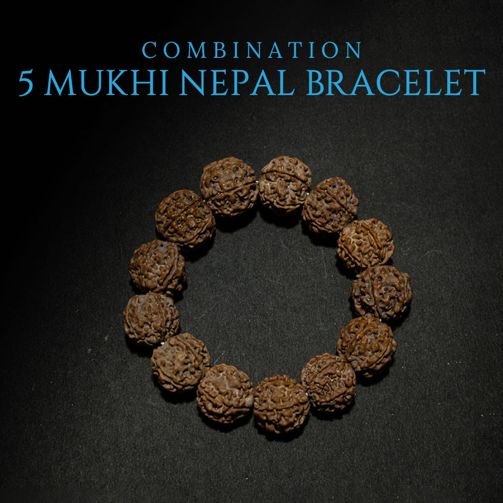 5 Mukhi Nepal Rudraksha Bracelet - Power Combination