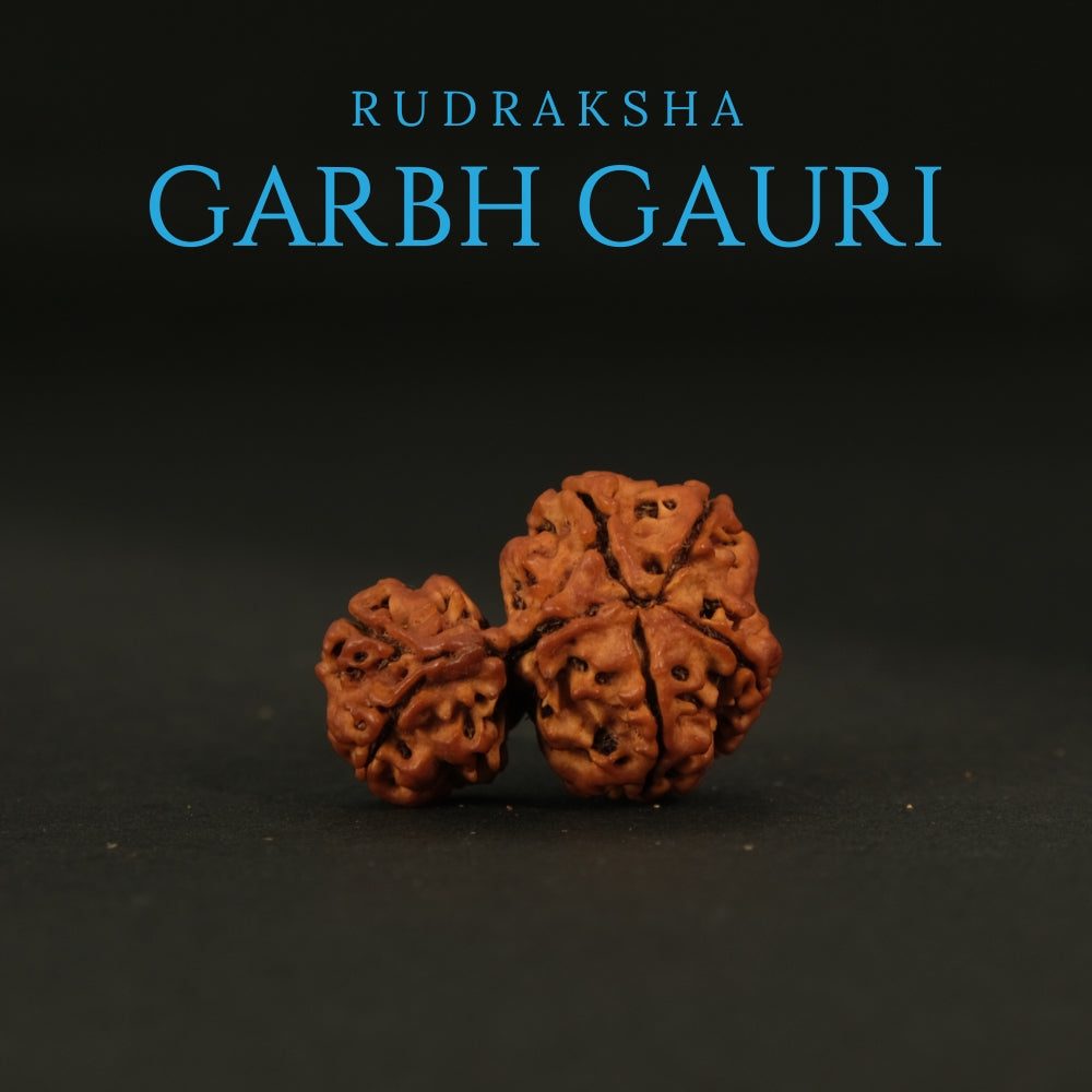Garbh Gauri Rudraksha – Original Nepali Bead