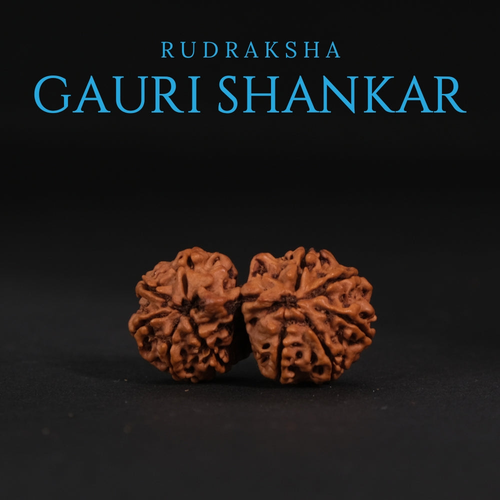 Gauri Shankar Rudraksha – Original Nepali Bead