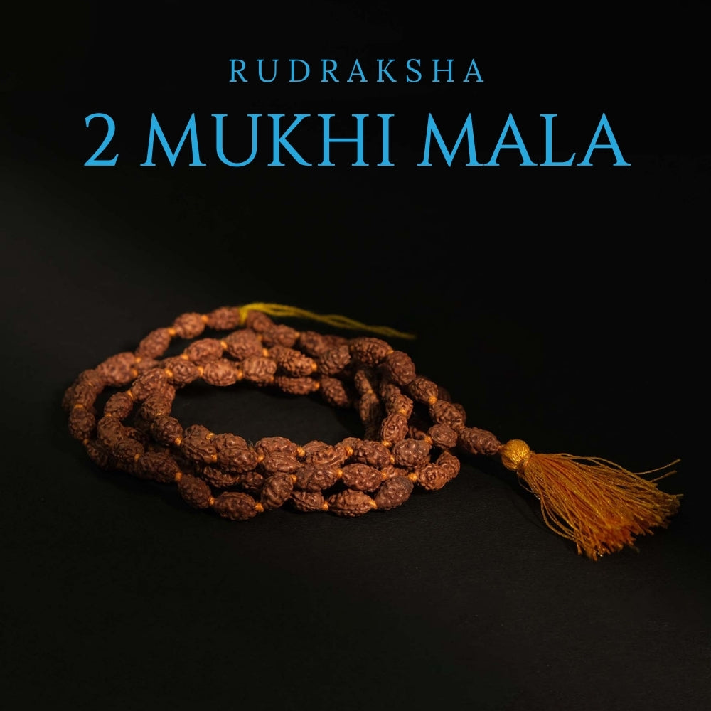 2 Mukhi Rudraksha Mala - Mala/ Bracelets
