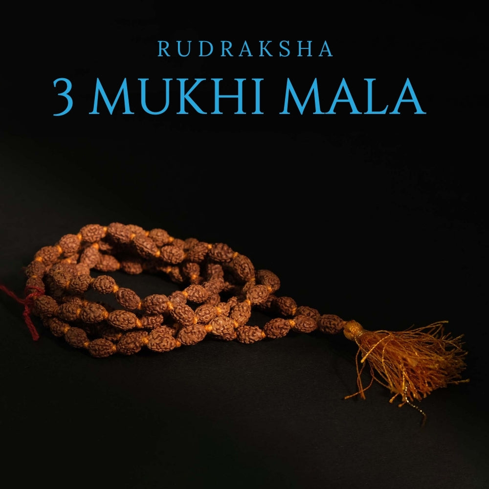 3 Mukhi Rudraksha Mala - Mala/ Bracelets