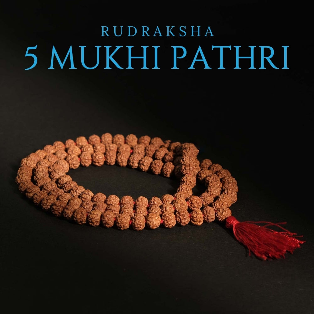 Pathri Rudraksh Buy Original Rudraksha Mala Online at Best Price – HarShiv Ganga