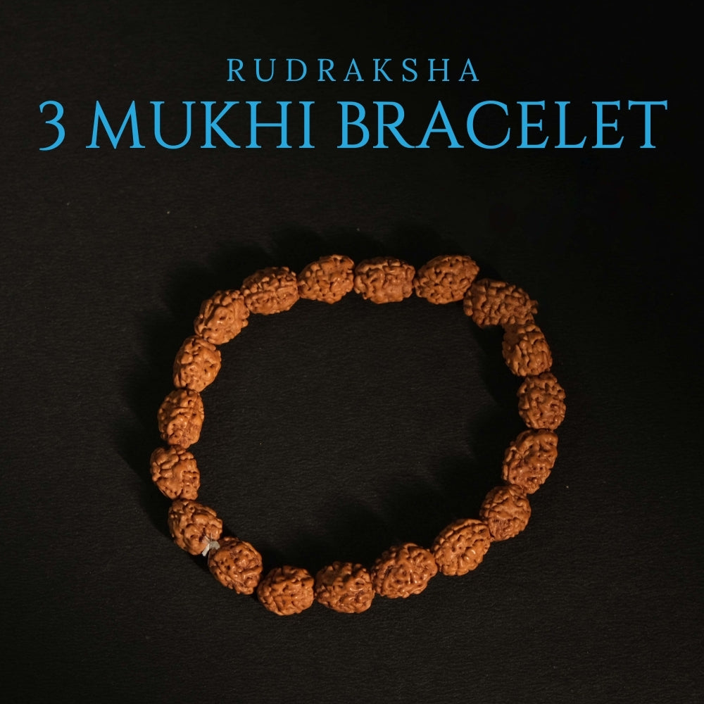 3 Mukhi Rudraksha Bracelet - Mala/ Bracelets