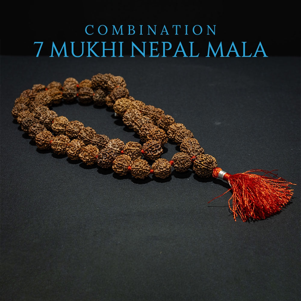 7 Mukhi Nepal Rudraksha Mala - Power Combination