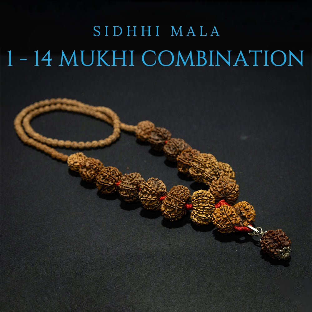 siddhi-rudraksha-mala-1-to-14-mukhi - Power Combination