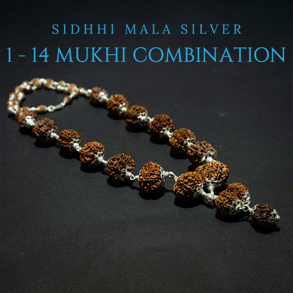 Siddhi Rudraksha Mala – Silver Capping (1 to 14 Mukhi Combination) - Power Combination