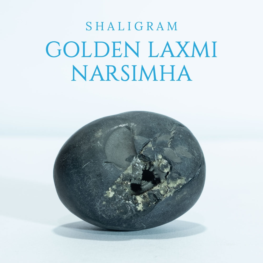 Golden Laxmi Narayana - 2.3inch/ 145gm - vishnu laxmi shaligram