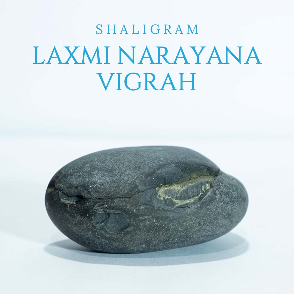 Laxmi Narayana Vigrah - 4inch/ 480gm - vishnu laxmi shaligram