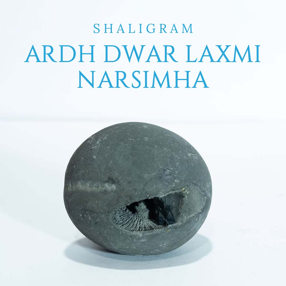 Ardh Dwar Laxmi Narsimha - 3.5inch/ 400gm - vishnu laxmi shaligram