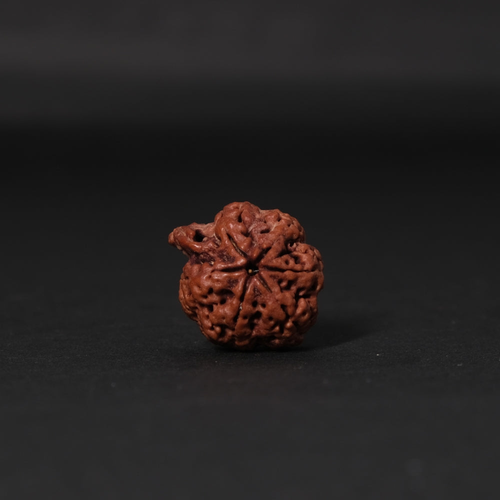 Ganesh Rudraksha – Original Nepali Bead