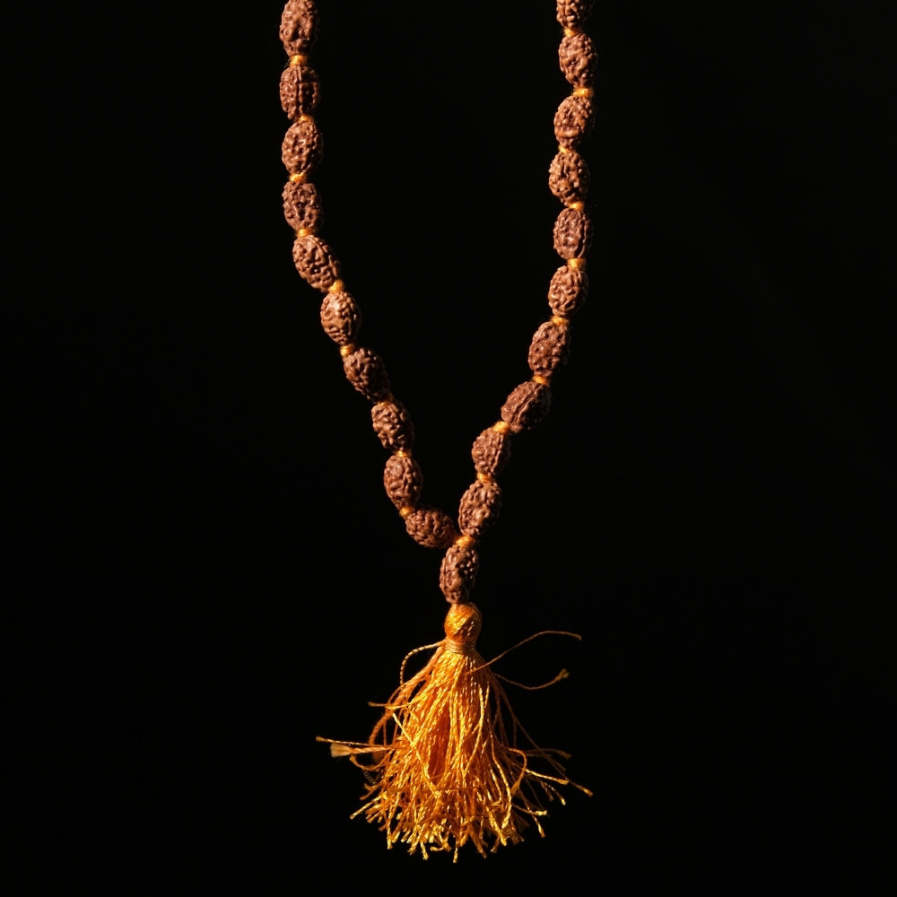 2 Mukhi Rudraksha Mala - Mala/ Bracelets