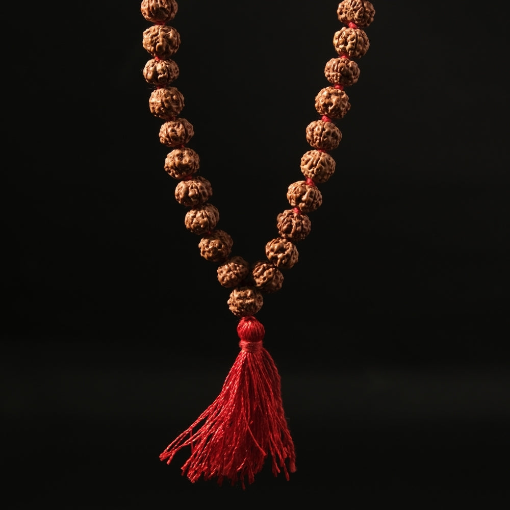 Pathri Rudraksh Buy Original Rudraksha Mala Online at Best Price – HarShiv Ganga