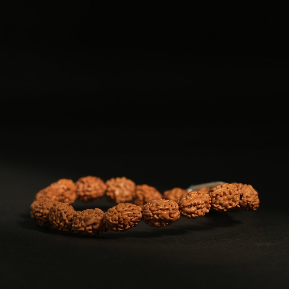 3 Mukhi Rudraksha Bracelet - Mala/ Bracelets