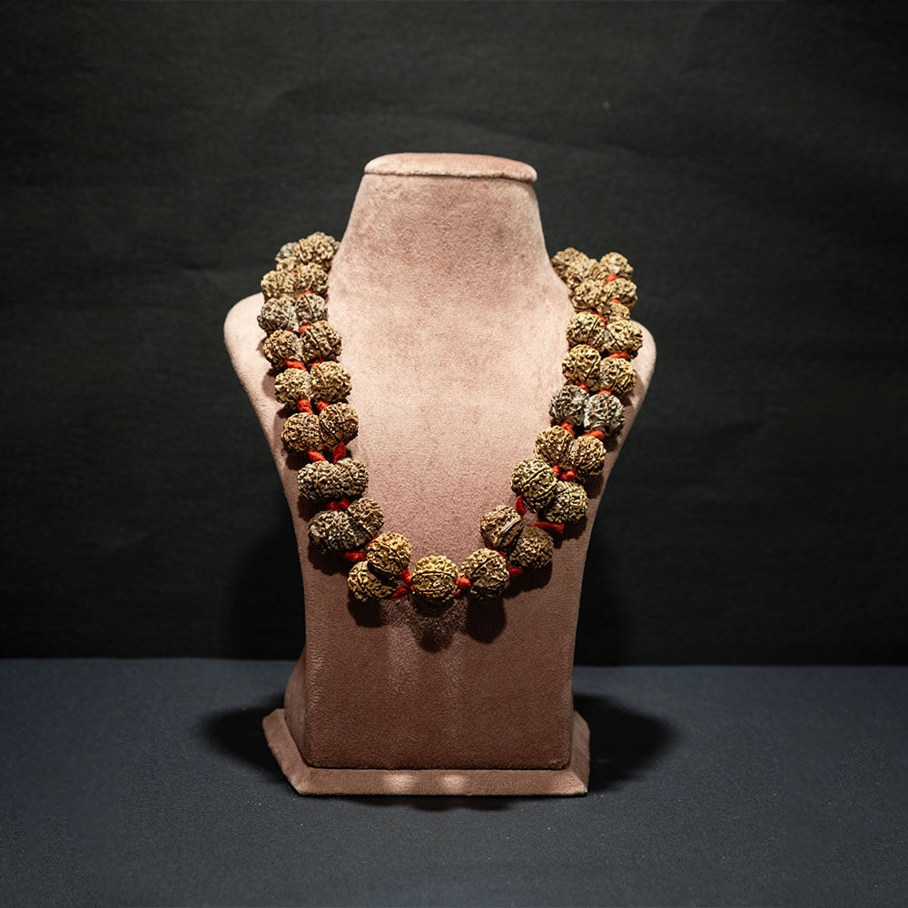 Gauri Shankar Nepal Rudraksha Mala - Power Combination