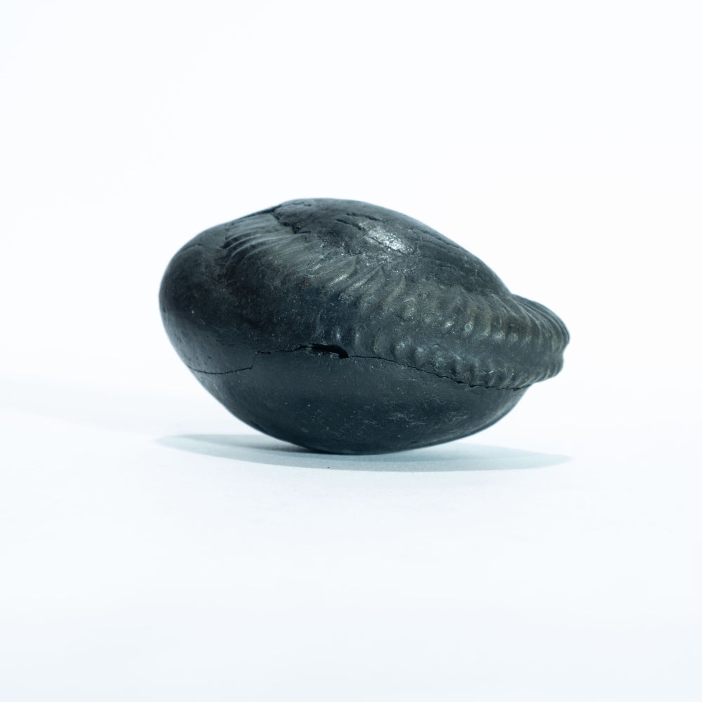 Laxmi Narayana Vigrah - 3inch/ 310gm - vishnu laxmi shaligram