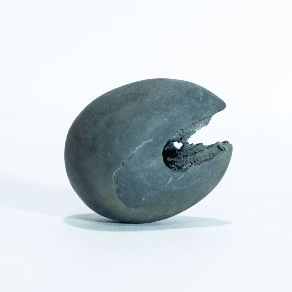 Varaha Laxmi - 1.5inch/ 55gm - vishnu laxmi shaligram