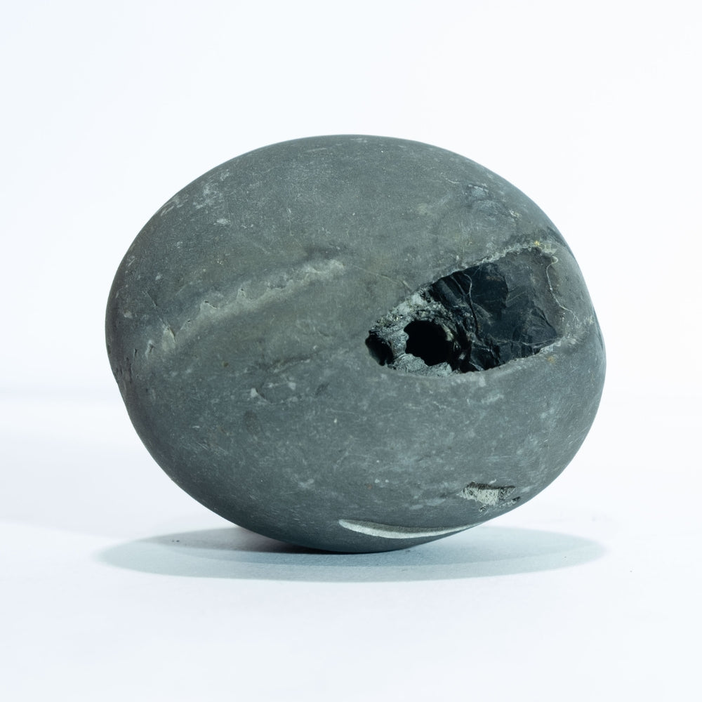 Ardh Dwar Laxmi Narsimha - 3.5inch/ 400gm - vishnu laxmi shaligram