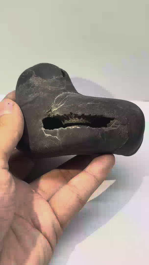 Panchmukhi Mahavishnu Shaligram 5Chakras M18(4inch/430gm)