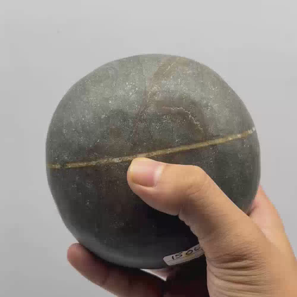 Janeyudhaari Gopal Shaligram (5.5inch/1500gm)