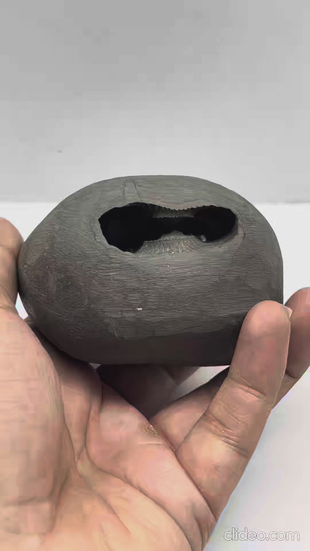 Dvi-vidha Purushottama Shaligram 4Chakras M09(3inch/290gm)