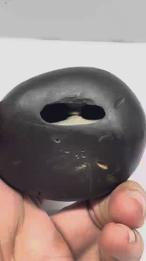M12 Vaikuntha Janardana Shaligram (2.5inch/215gm)