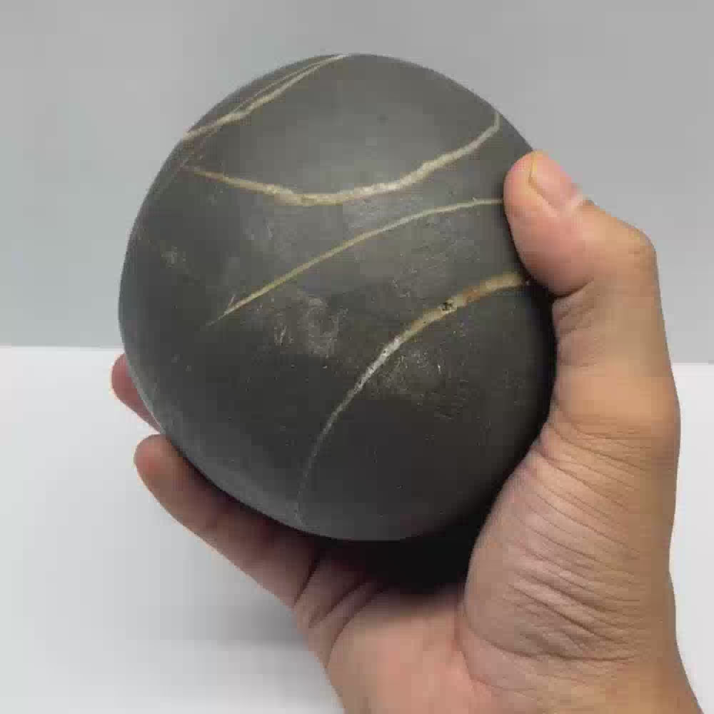 Multi Janeyudhaari Gopal Shaligram (5.3inch/1500gm)