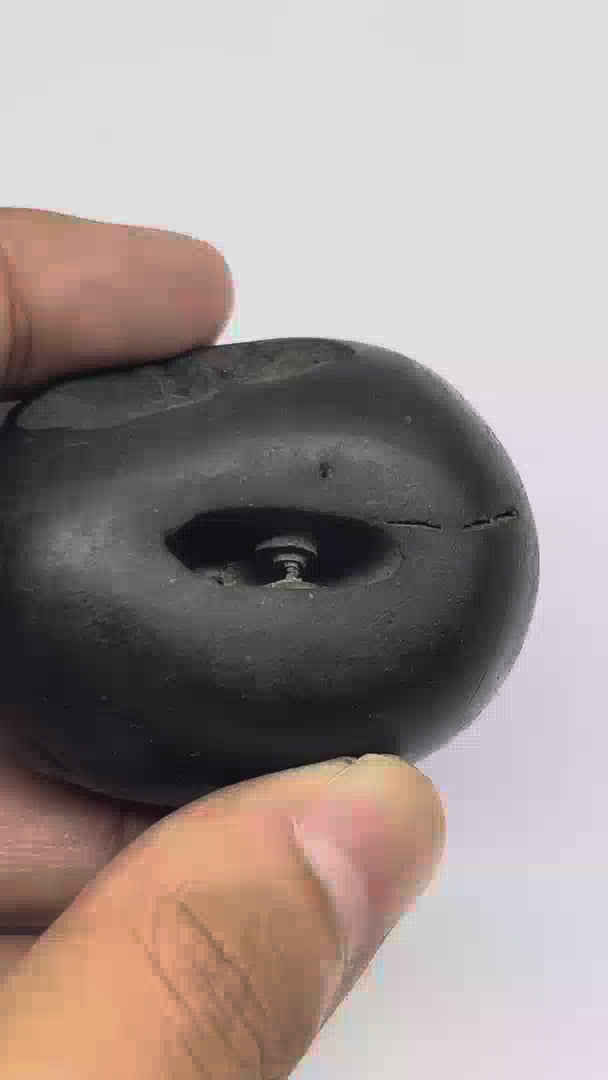 M17 Laxmi Janardana Shaligram 4Chakras (2inch/135gm)