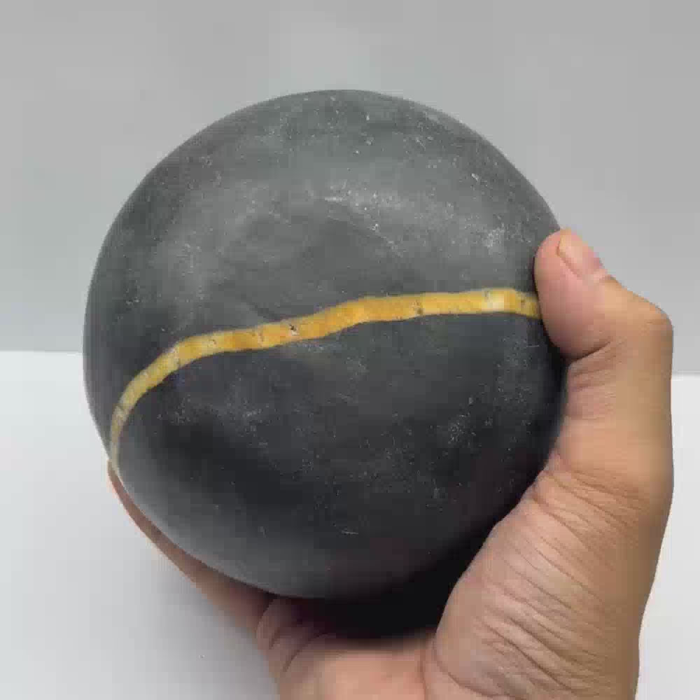 Janeyudhaari Gopal Shaligram (6.5inch/2000gm)