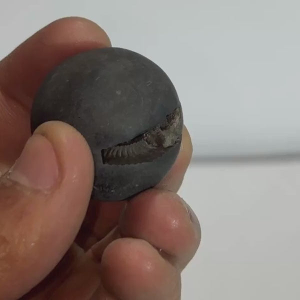 Ardh Dwar Laxmi Narayana