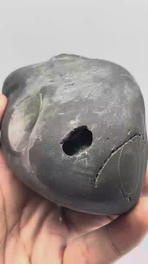Panchtatva Mahavishnu Shaligram 5Chakras-M22(5inch/580gm)