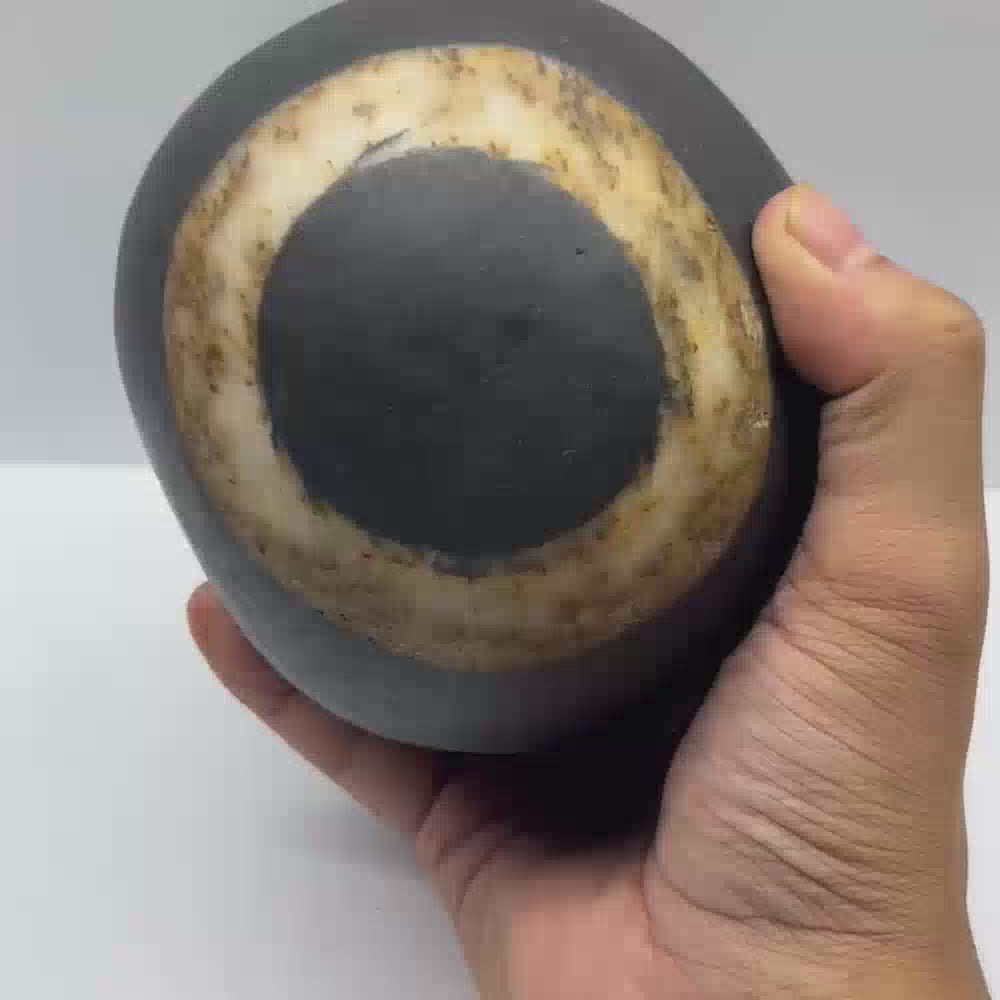 Janeyudhaari Gopal Shaligram (6.5inch/2140gm)
