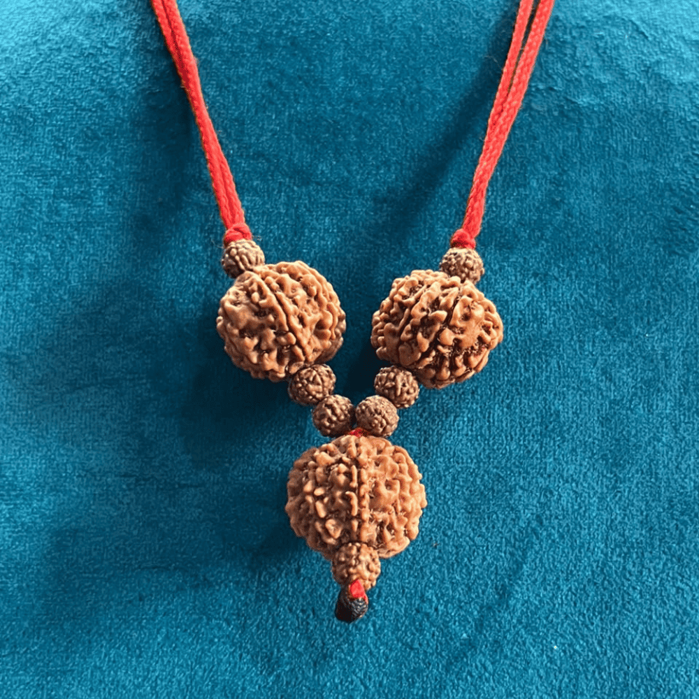 Shani Sadesati Kavach (7+7+7 Mukhi Rudraksha)