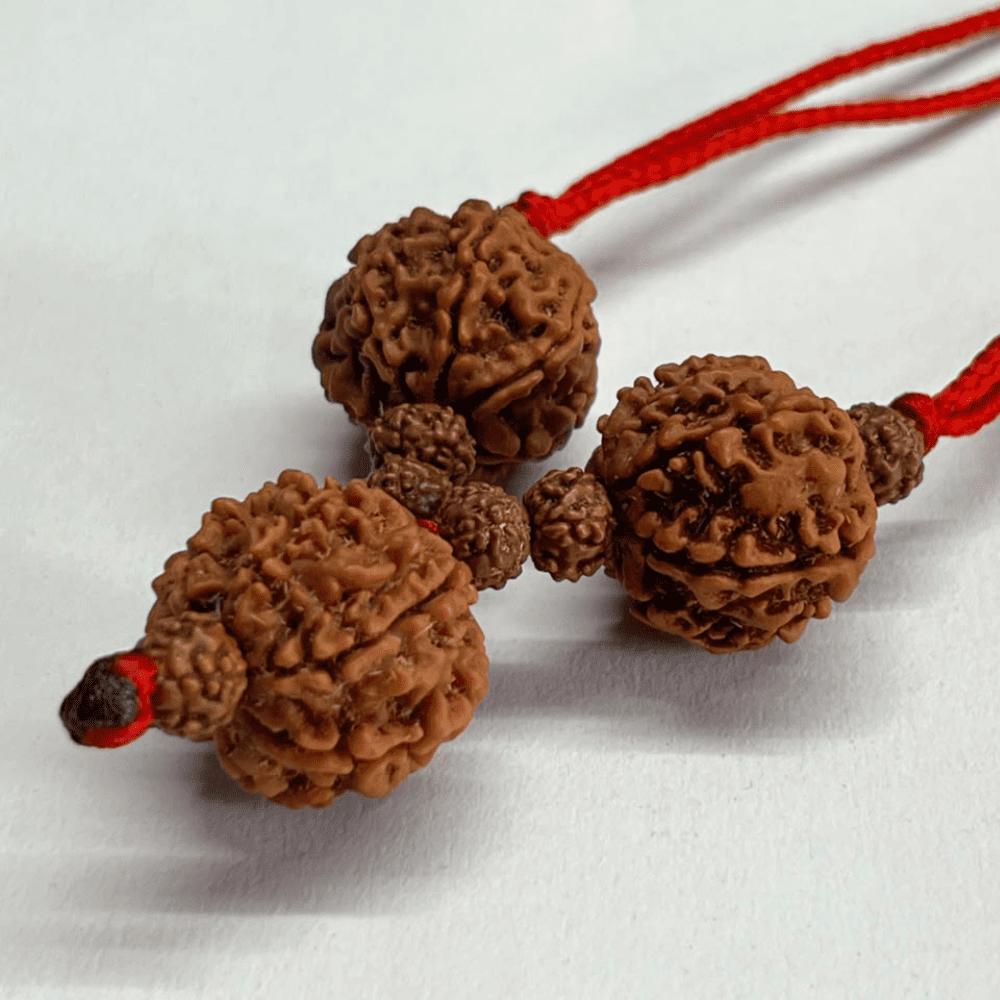 Shani Sadesati Kavach (7+7+7 Mukhi Rudraksha)